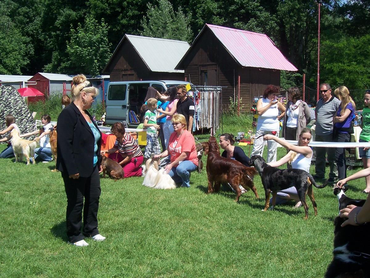 29.05.2011 Oblastná výstava psov Sereď